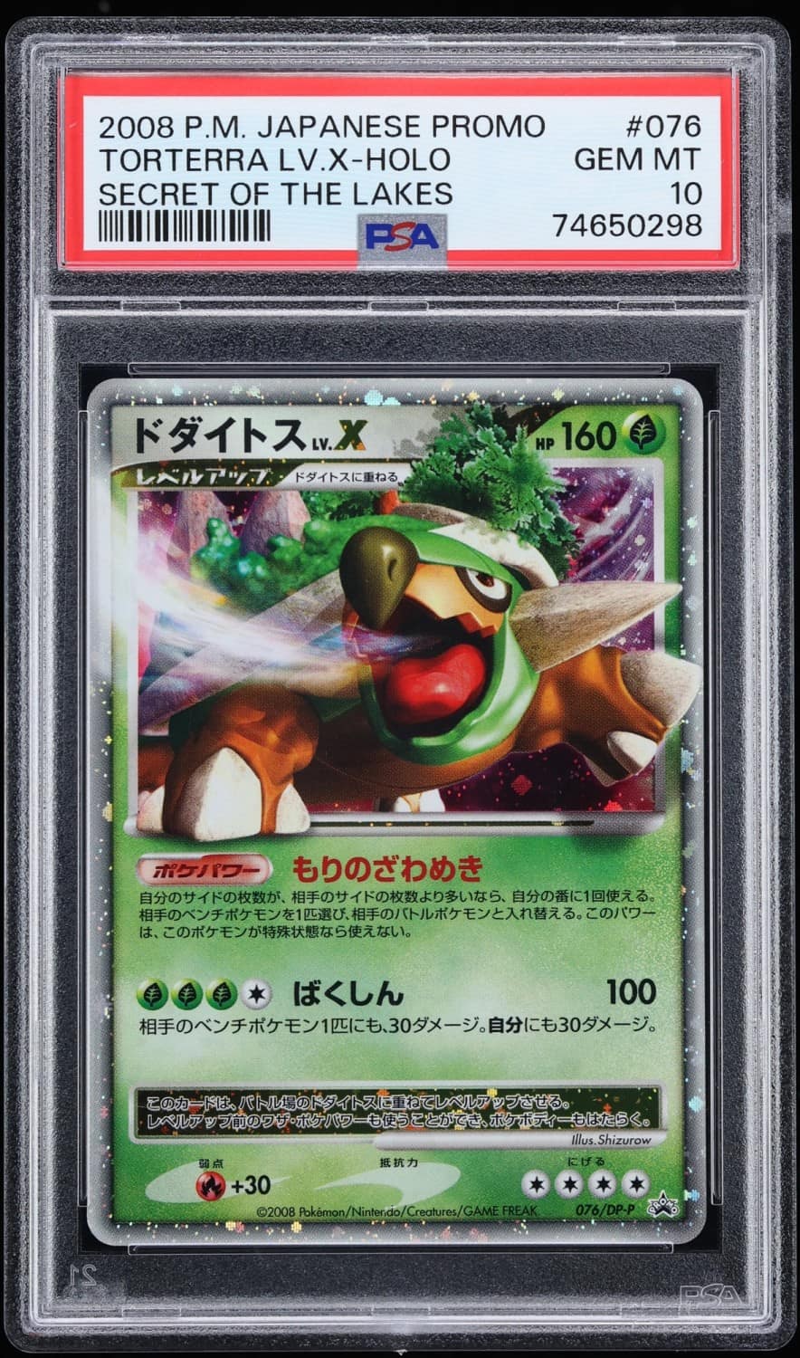 Torterra Lv X
