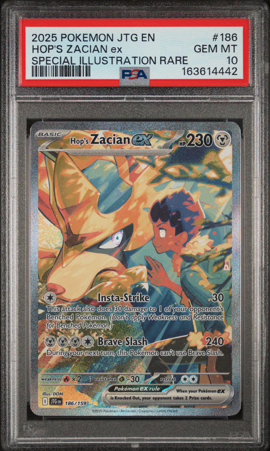 Hop'S Zacian Ex
