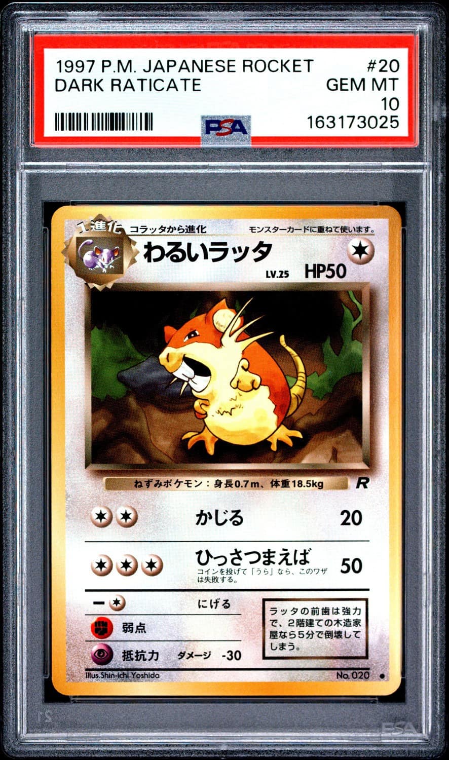 Dark Raticate
