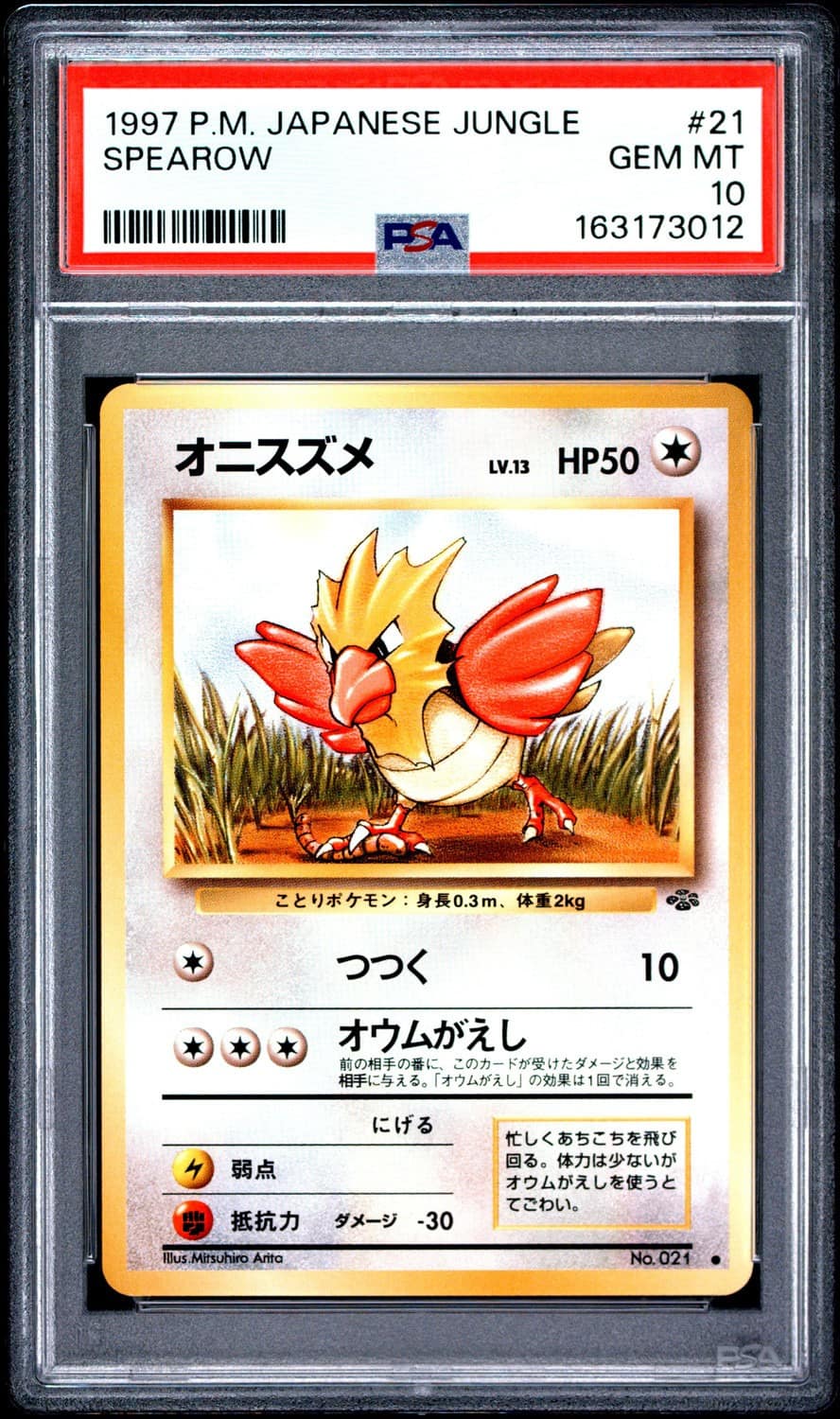 Spearow