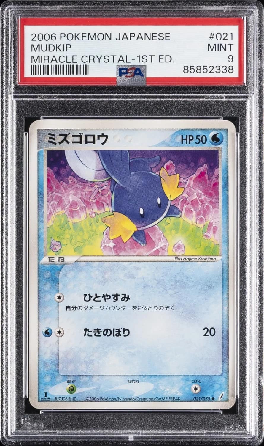 Mudkip
