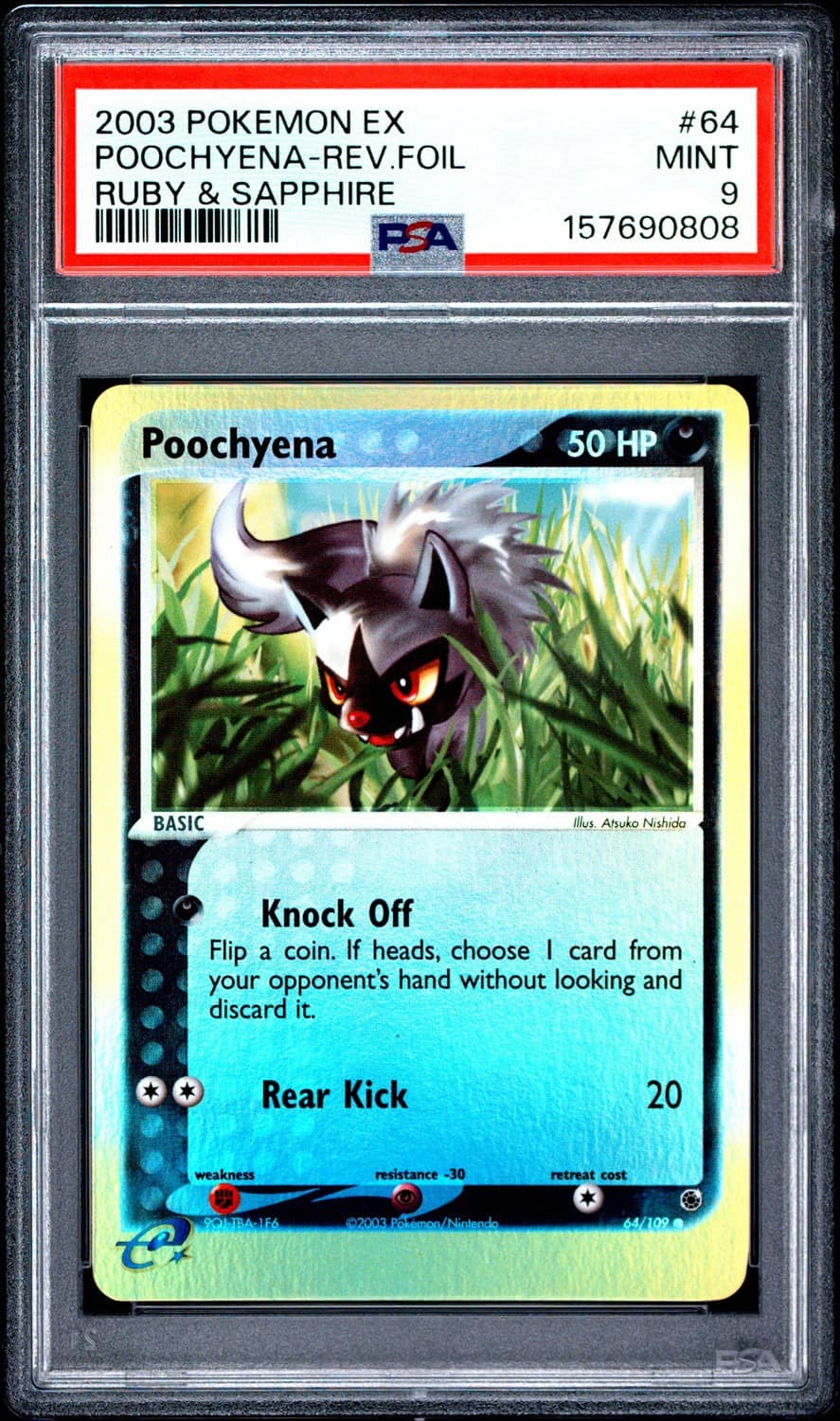 Poochyena