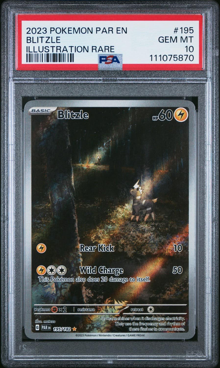 Blitzle