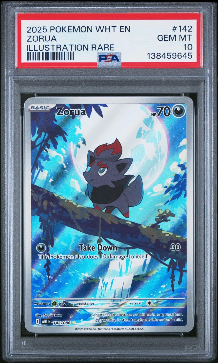 Zorua