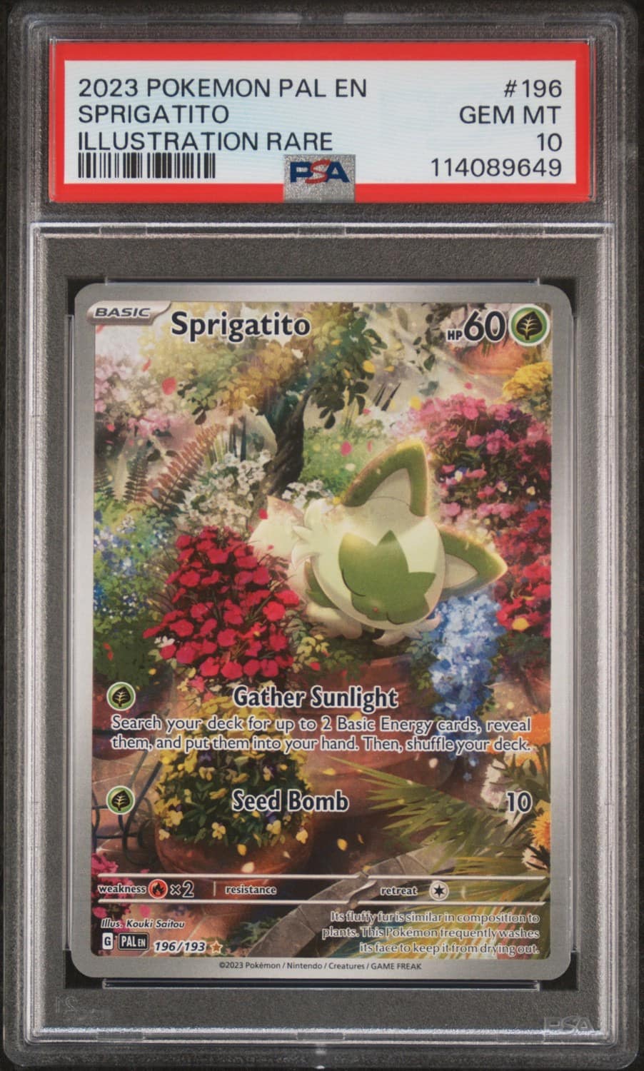 Sprigatito