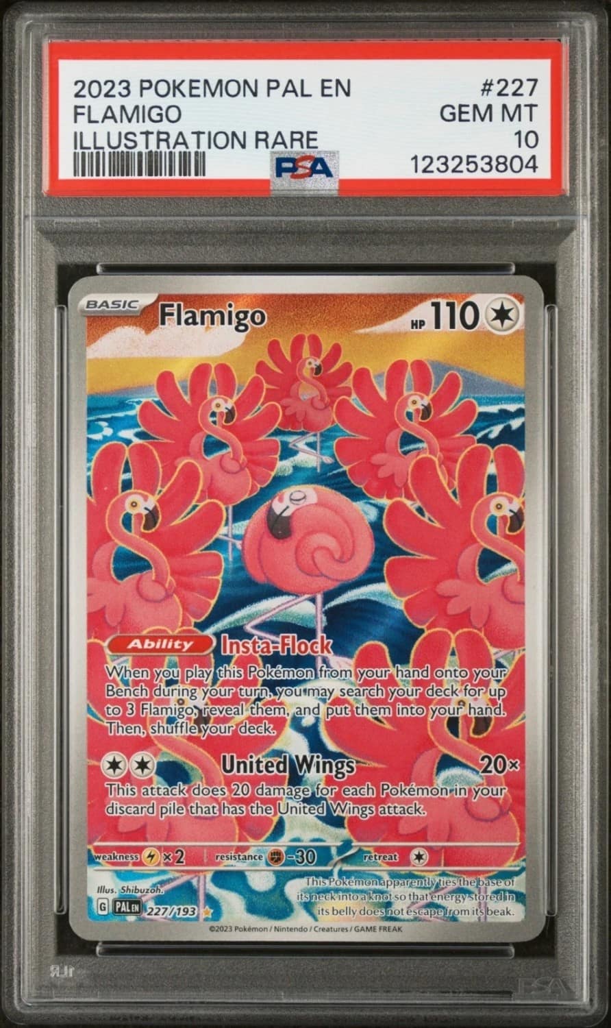 Flamigo