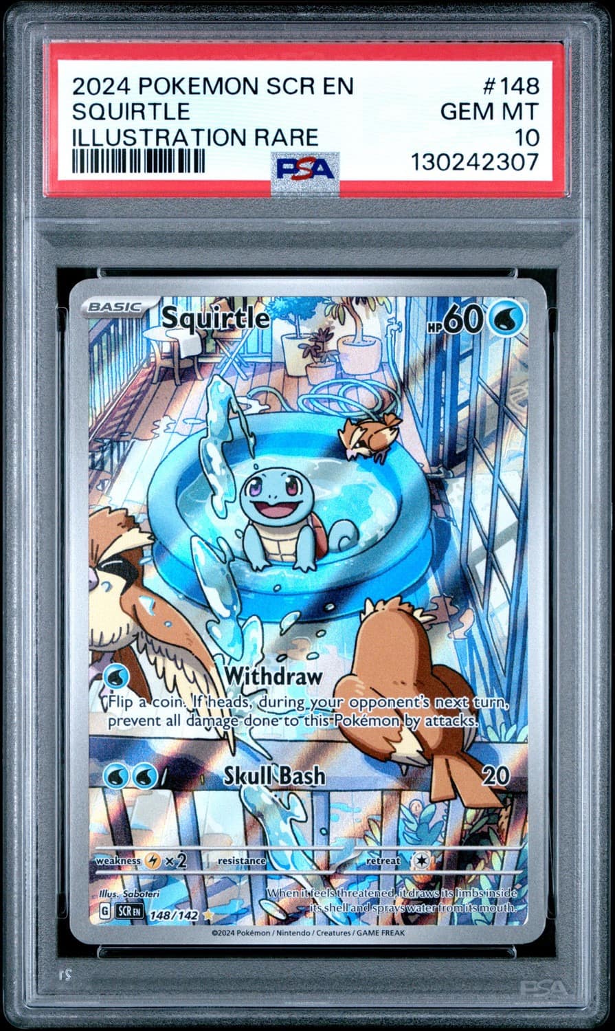 Squirtle