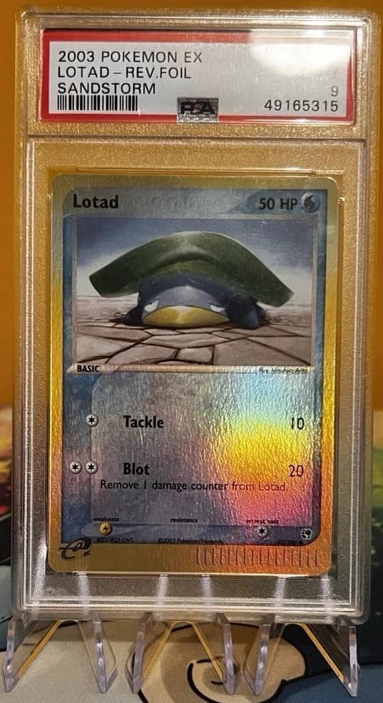Lotad