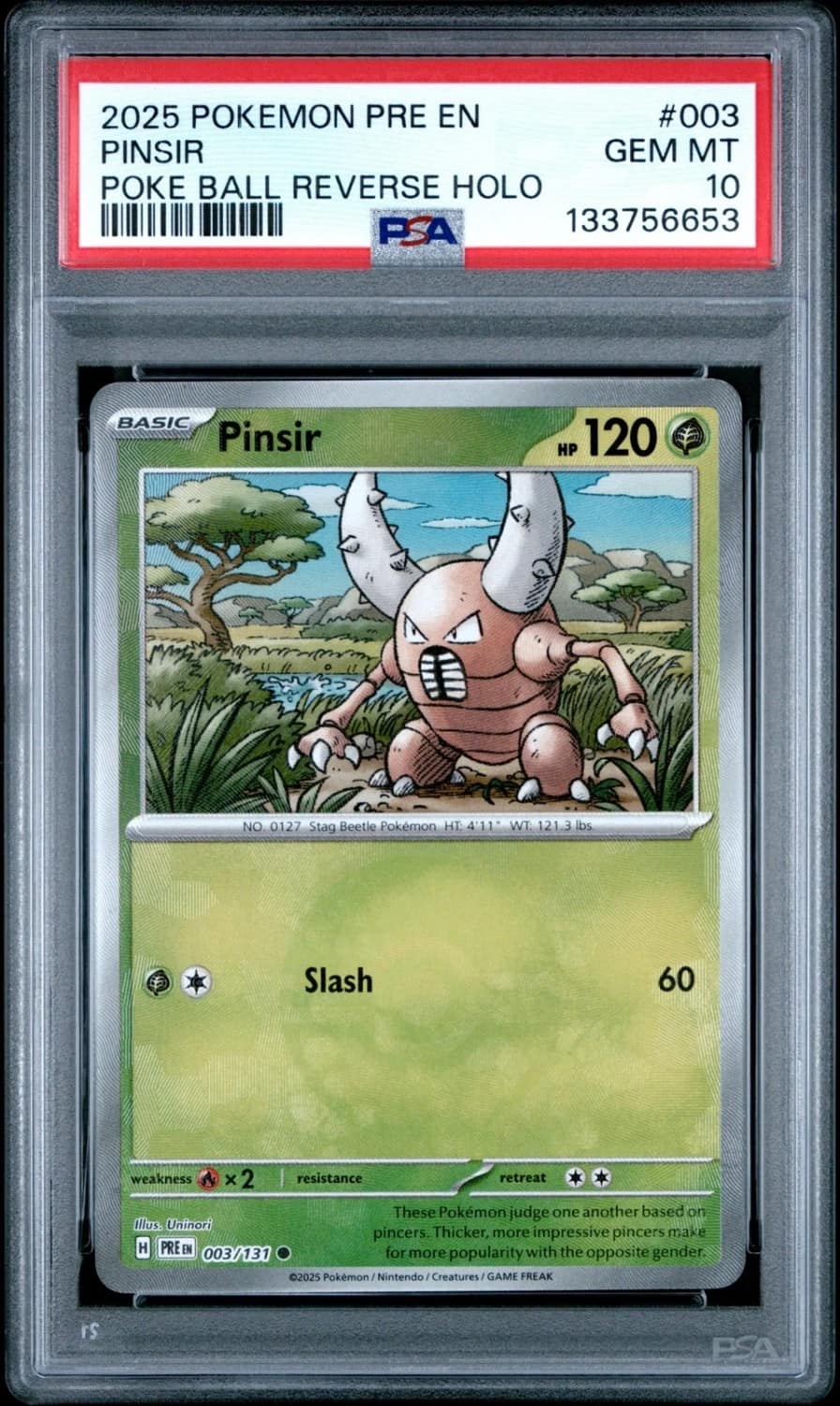 Pinsir