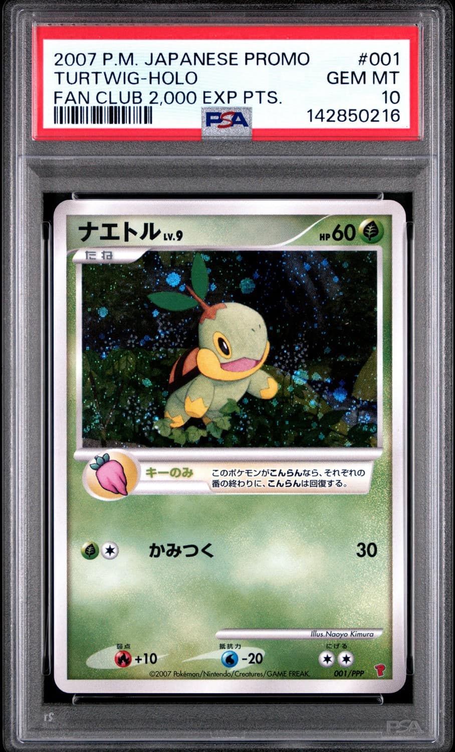 Turtwig