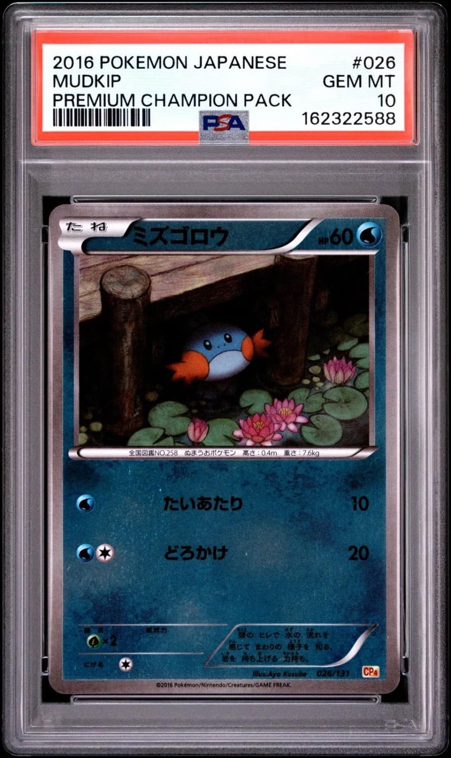Mudkip