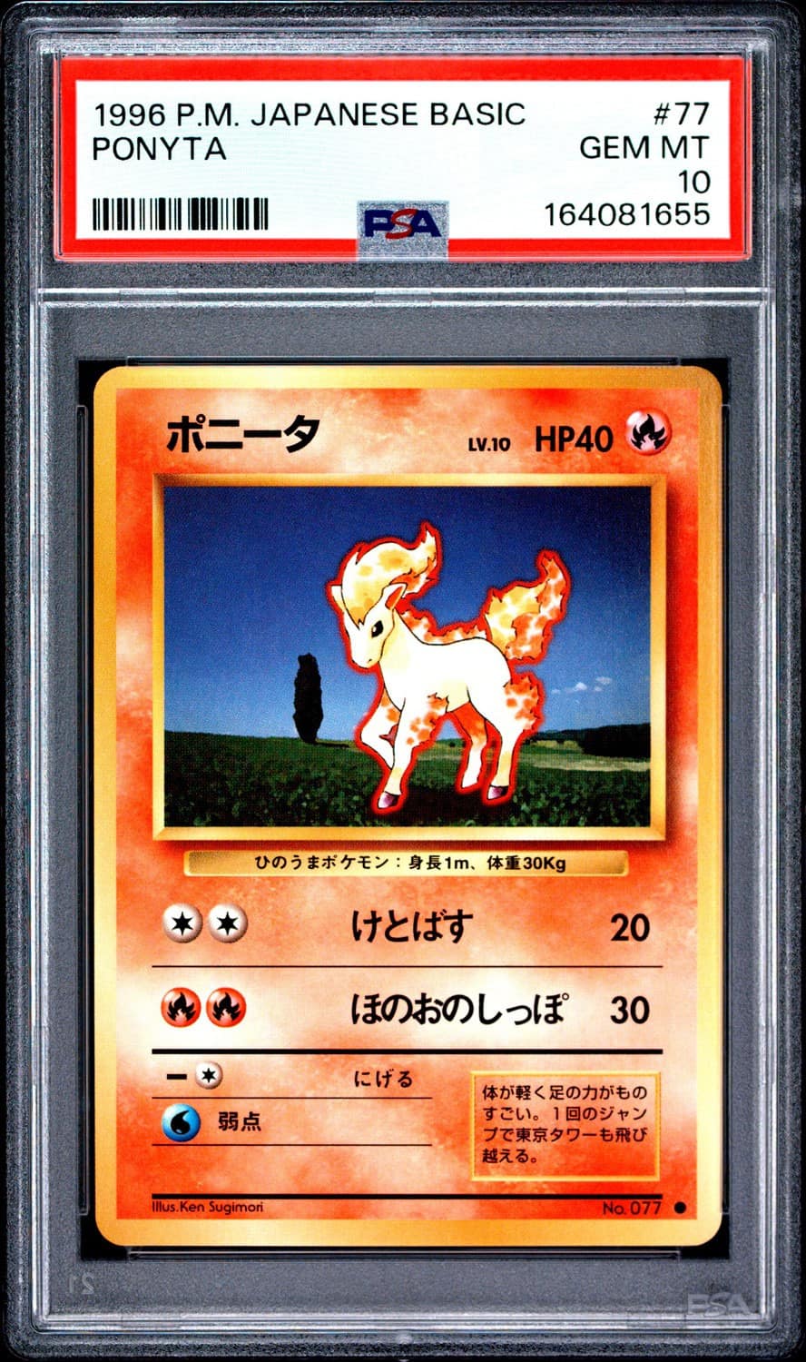 Ponyta