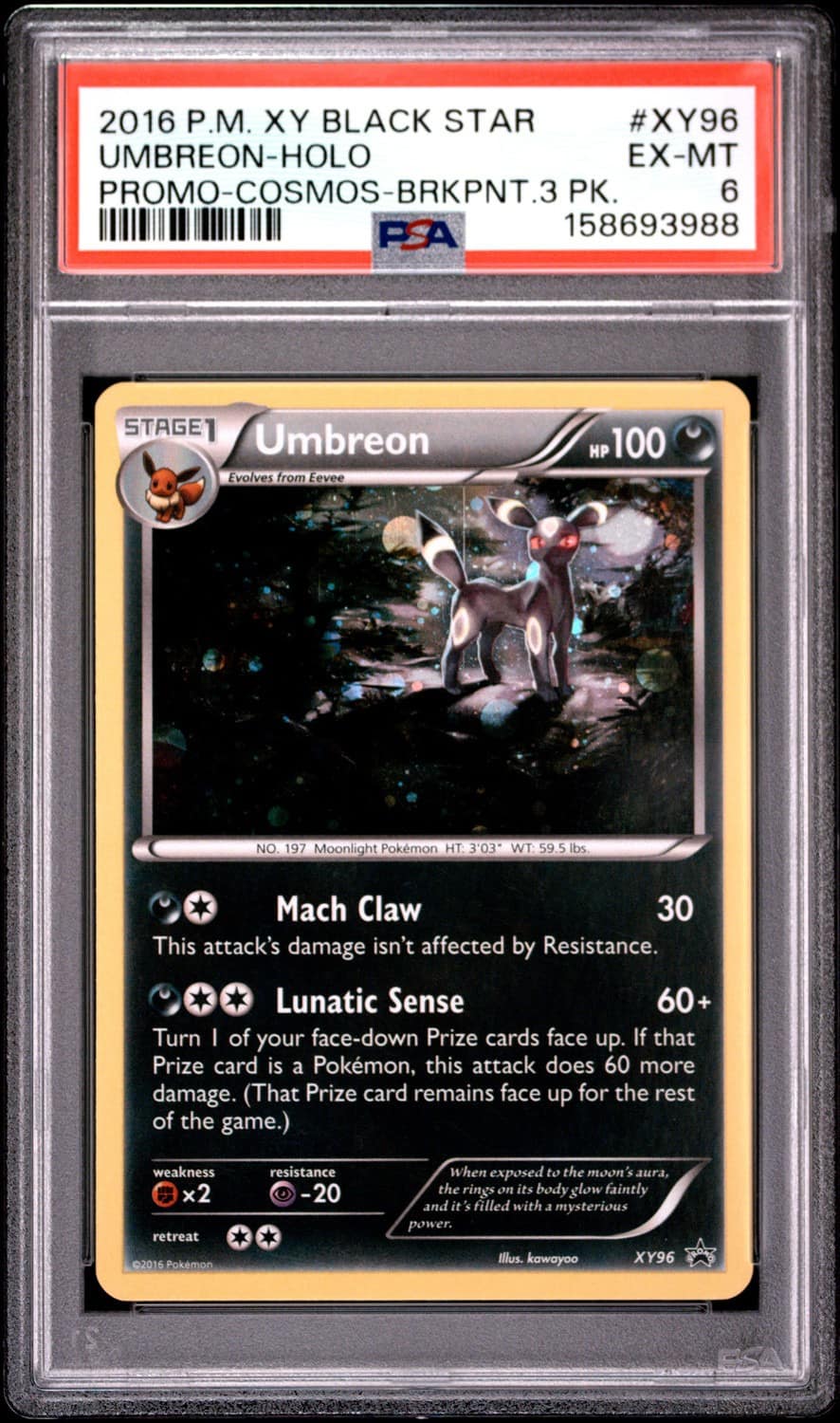 Umbreon