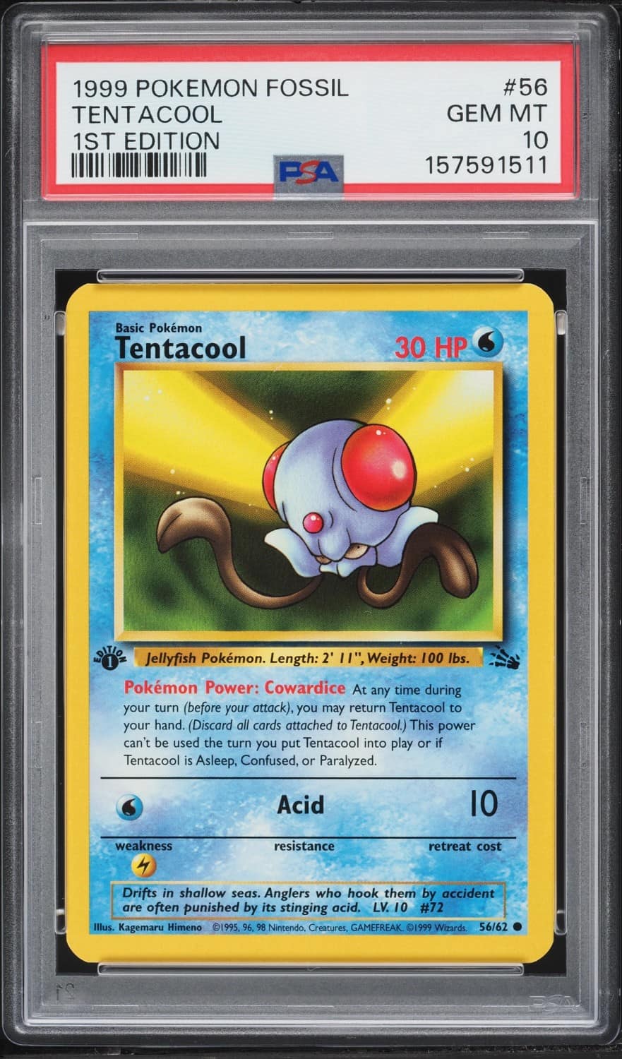 Tentacool