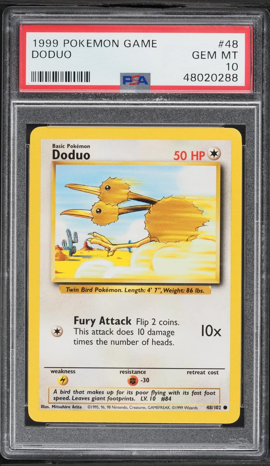 Doduo