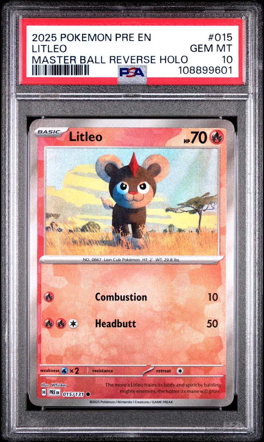 Litleo