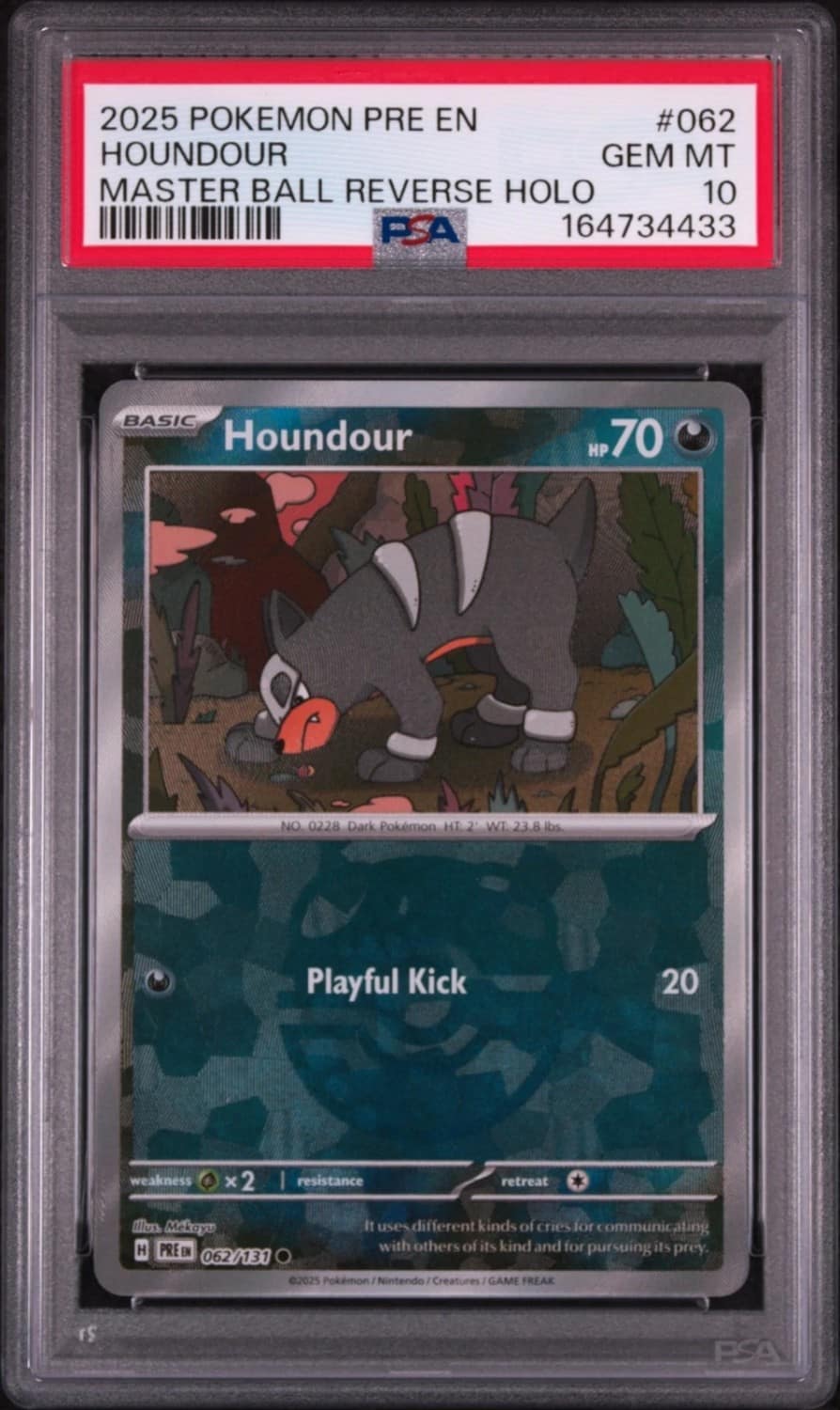 Houndour