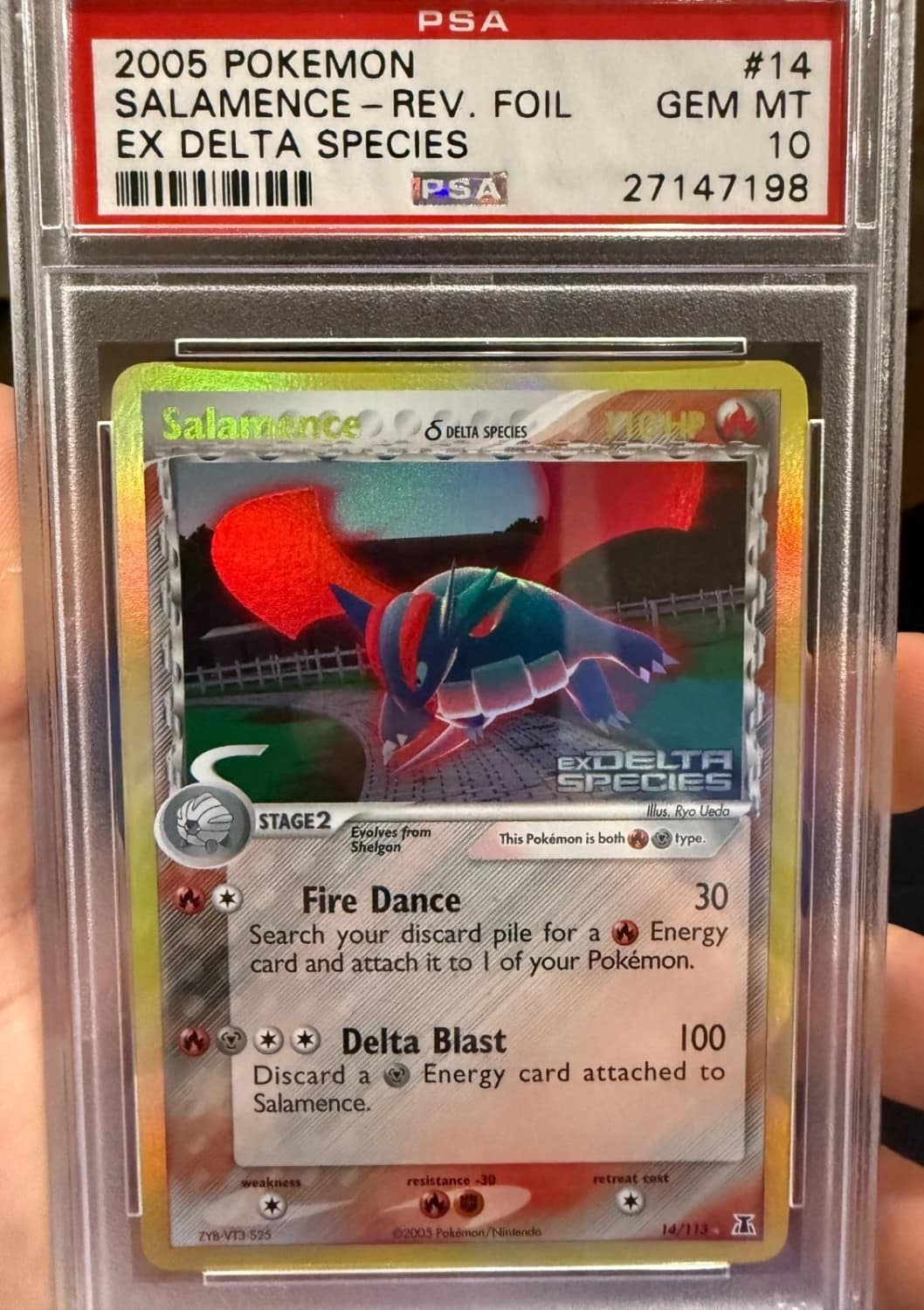 Salamence