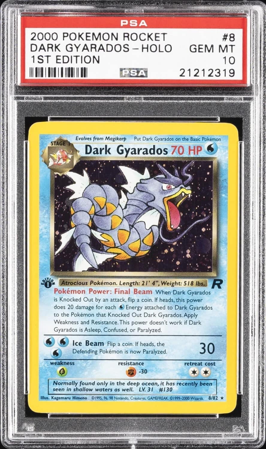 Dark Gyarados