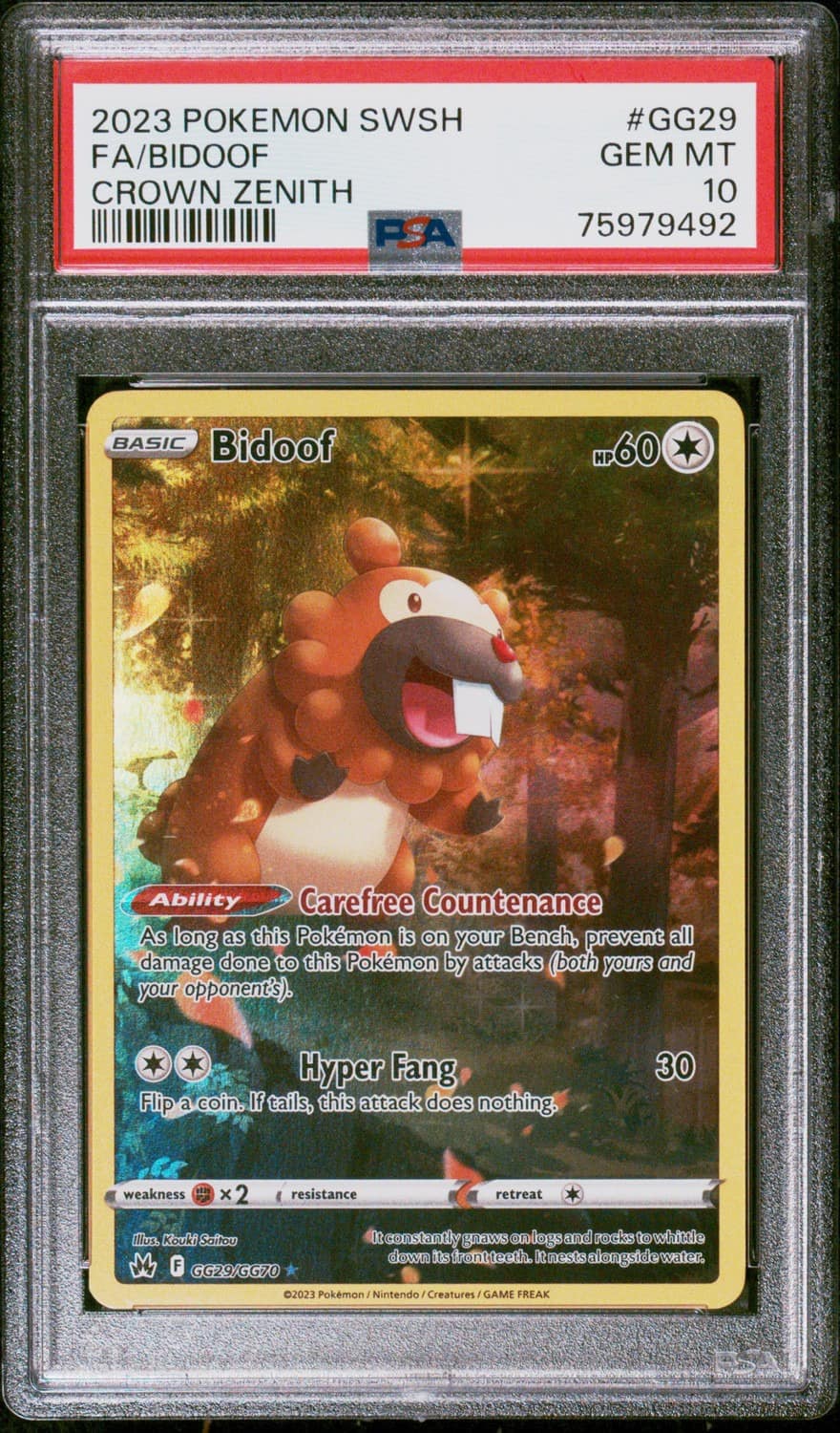 Bidoof