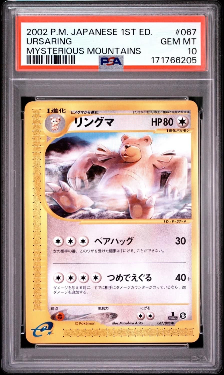 Ursaring