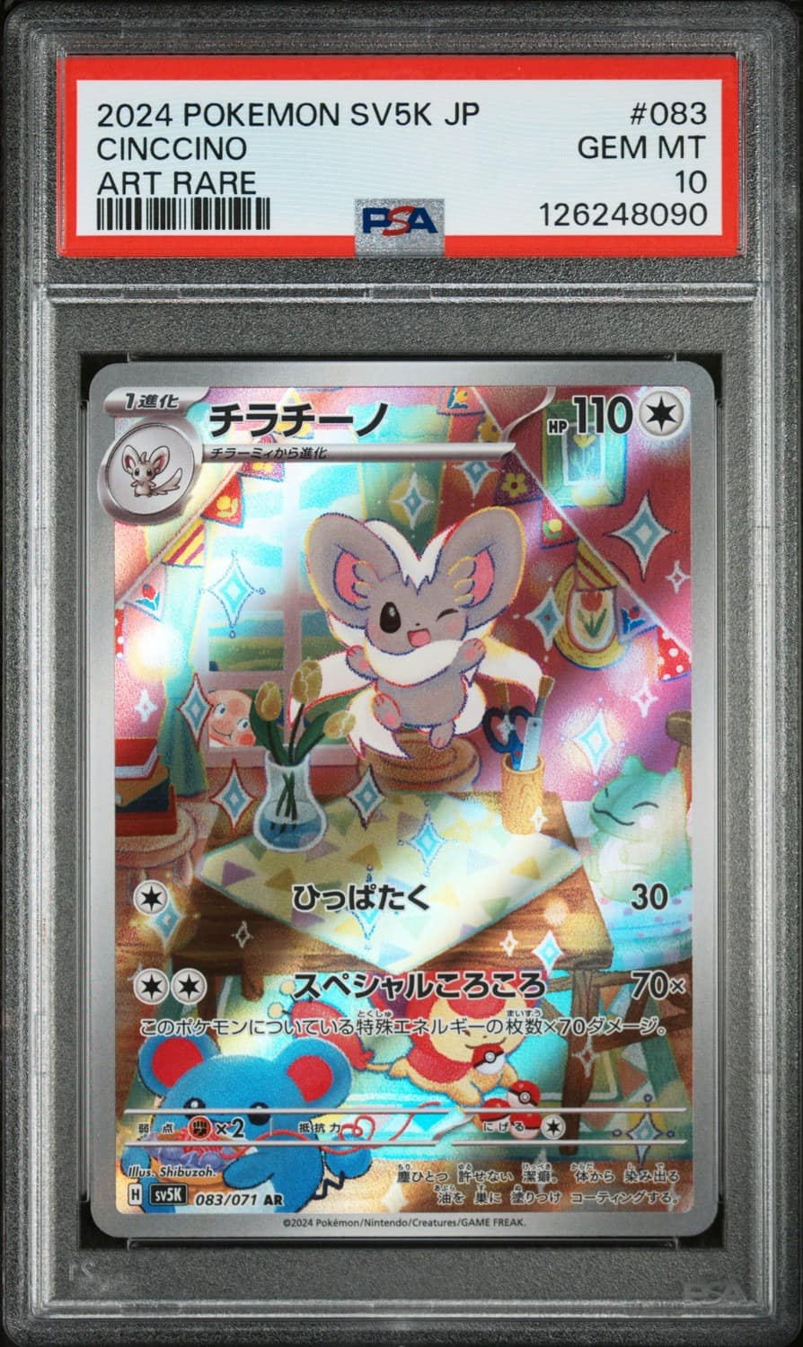Cinccino