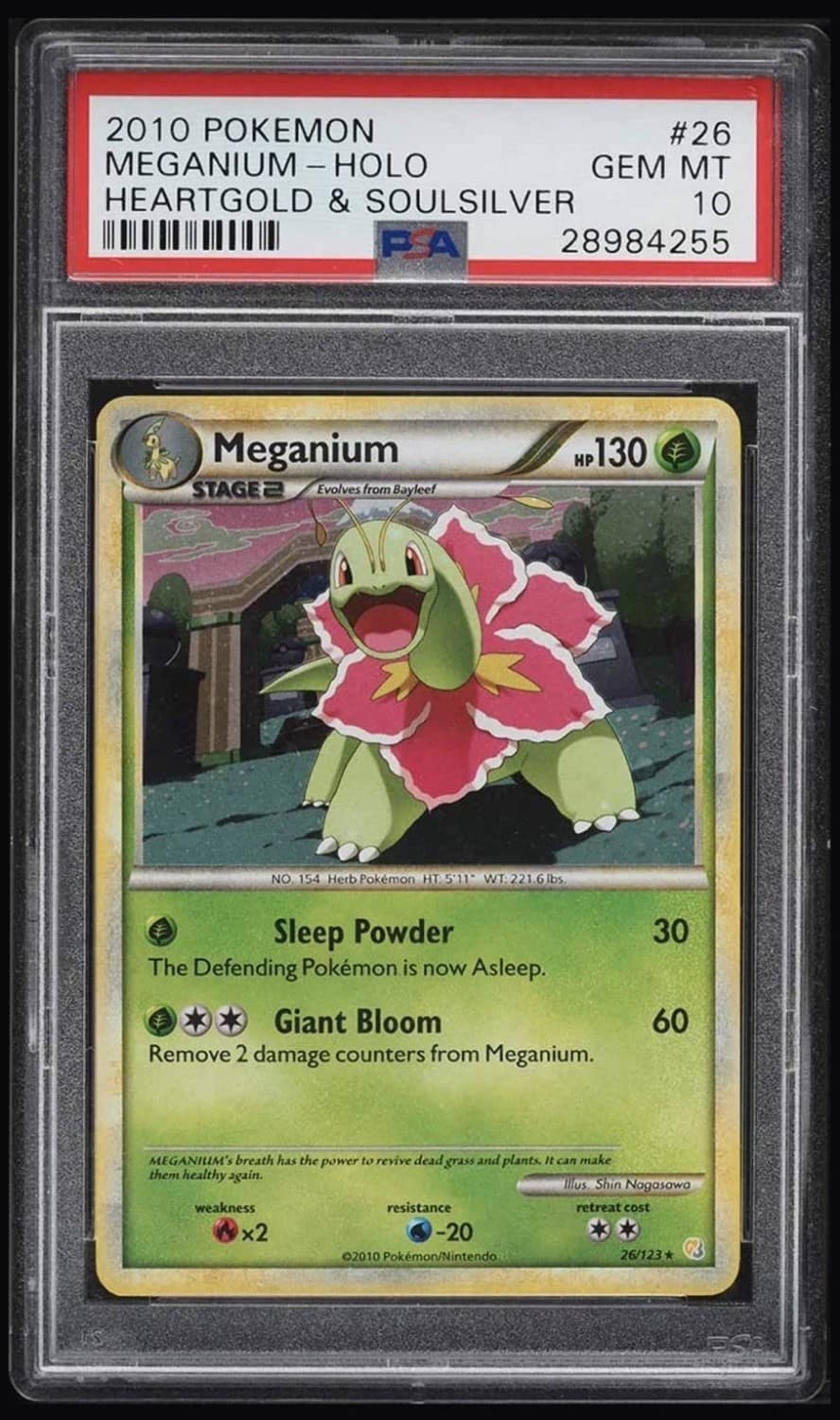 Meganium
