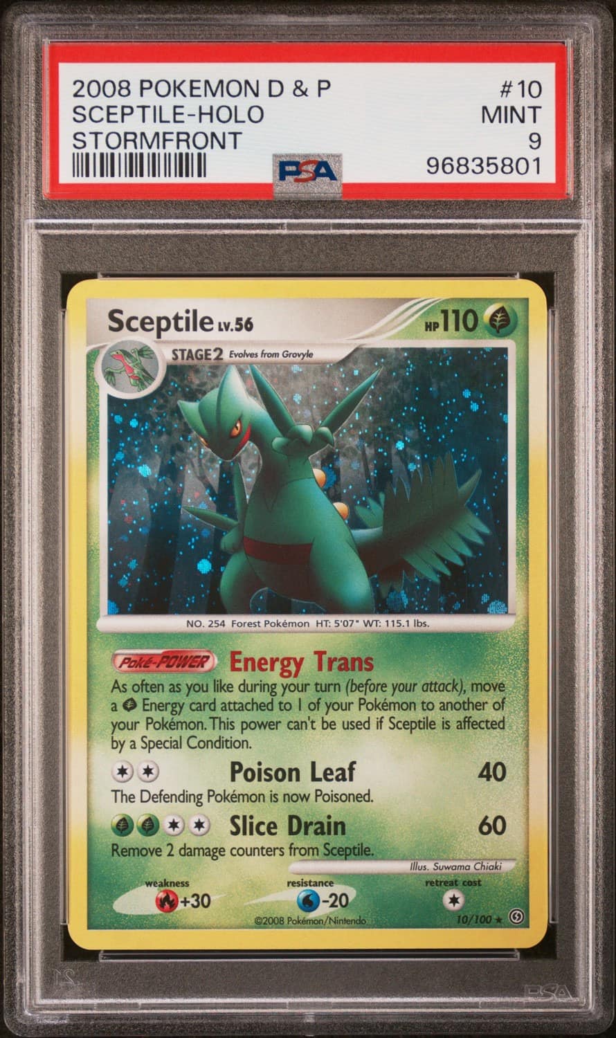Sceptile