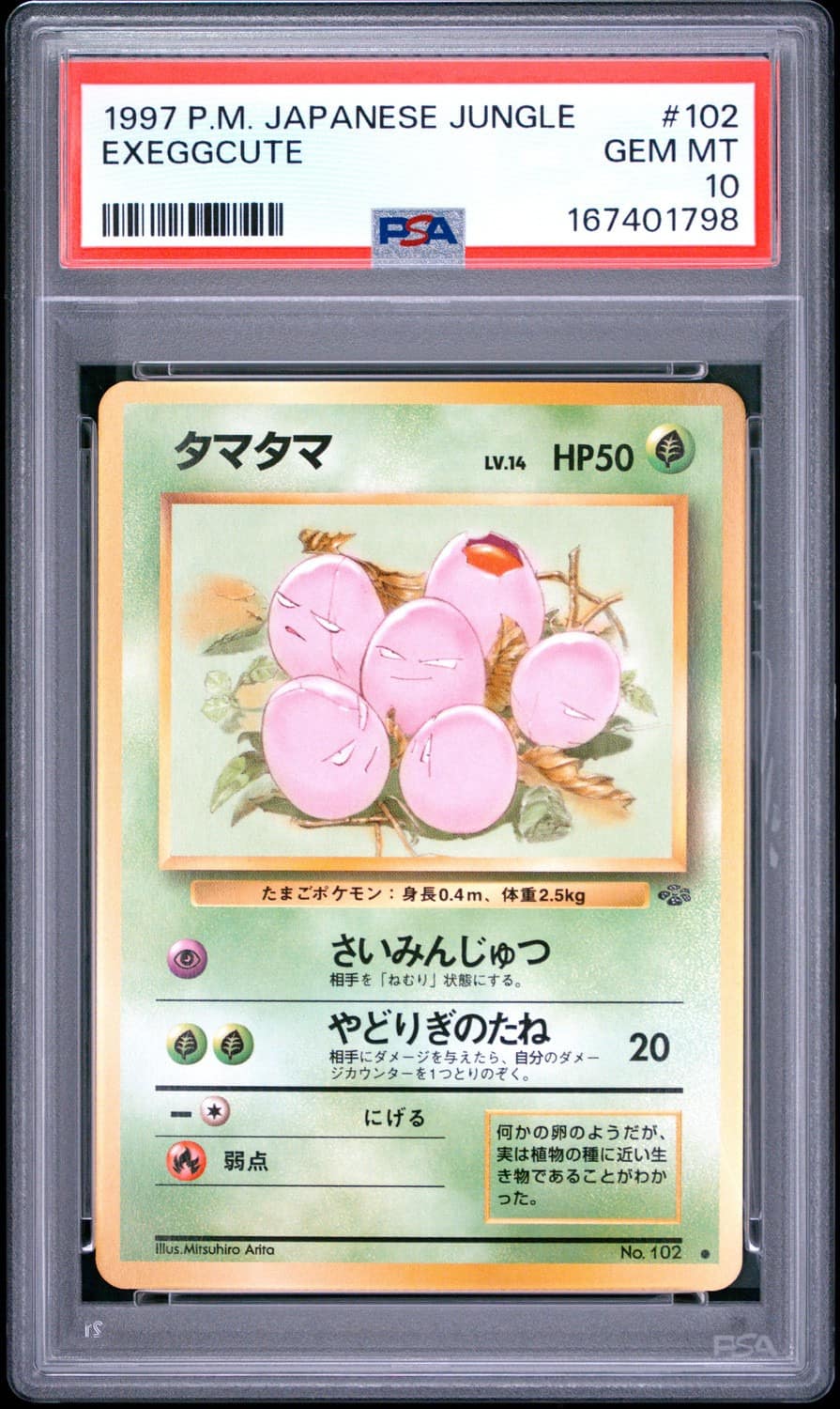 Exeggcute