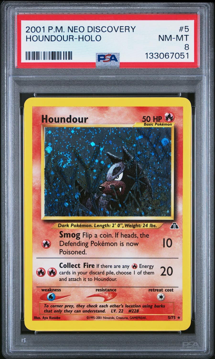 Houndour