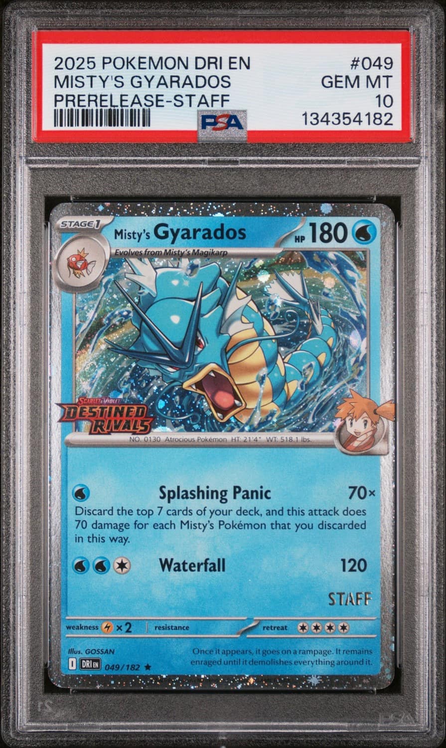 Misty'S Gyarados