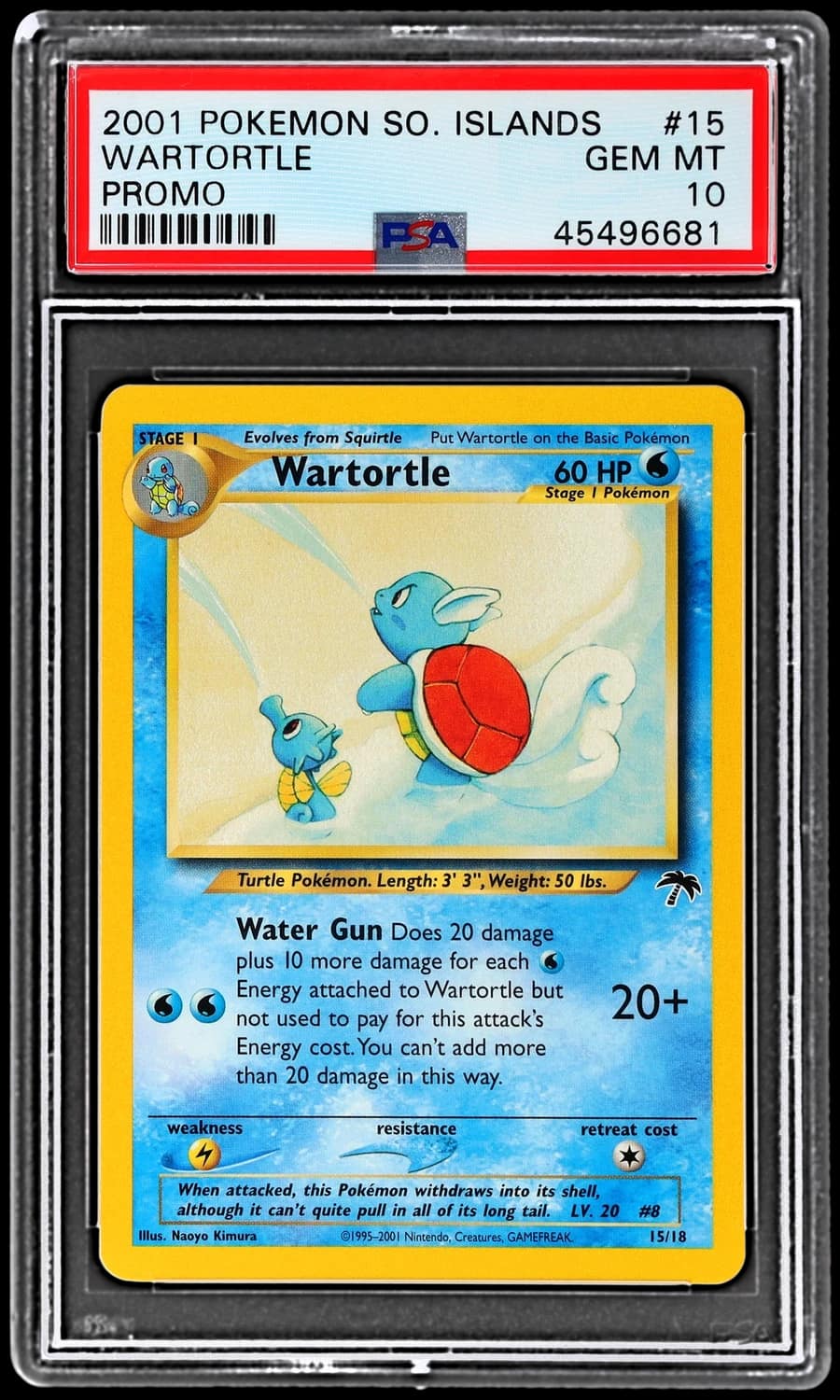 Wartortle