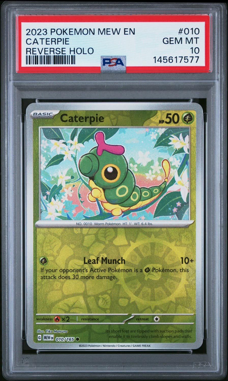 Caterpie