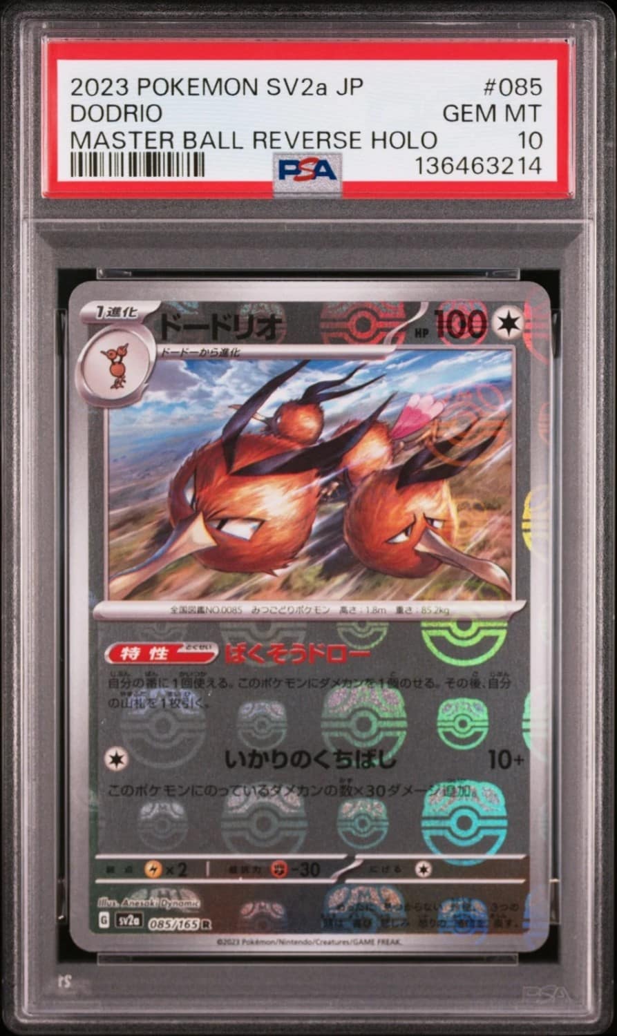 Dodrio