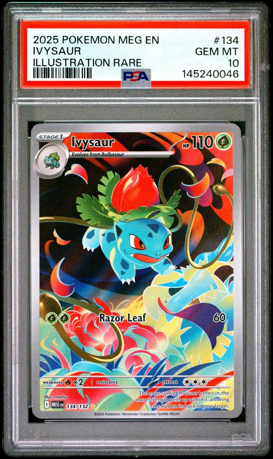 Ivysaur