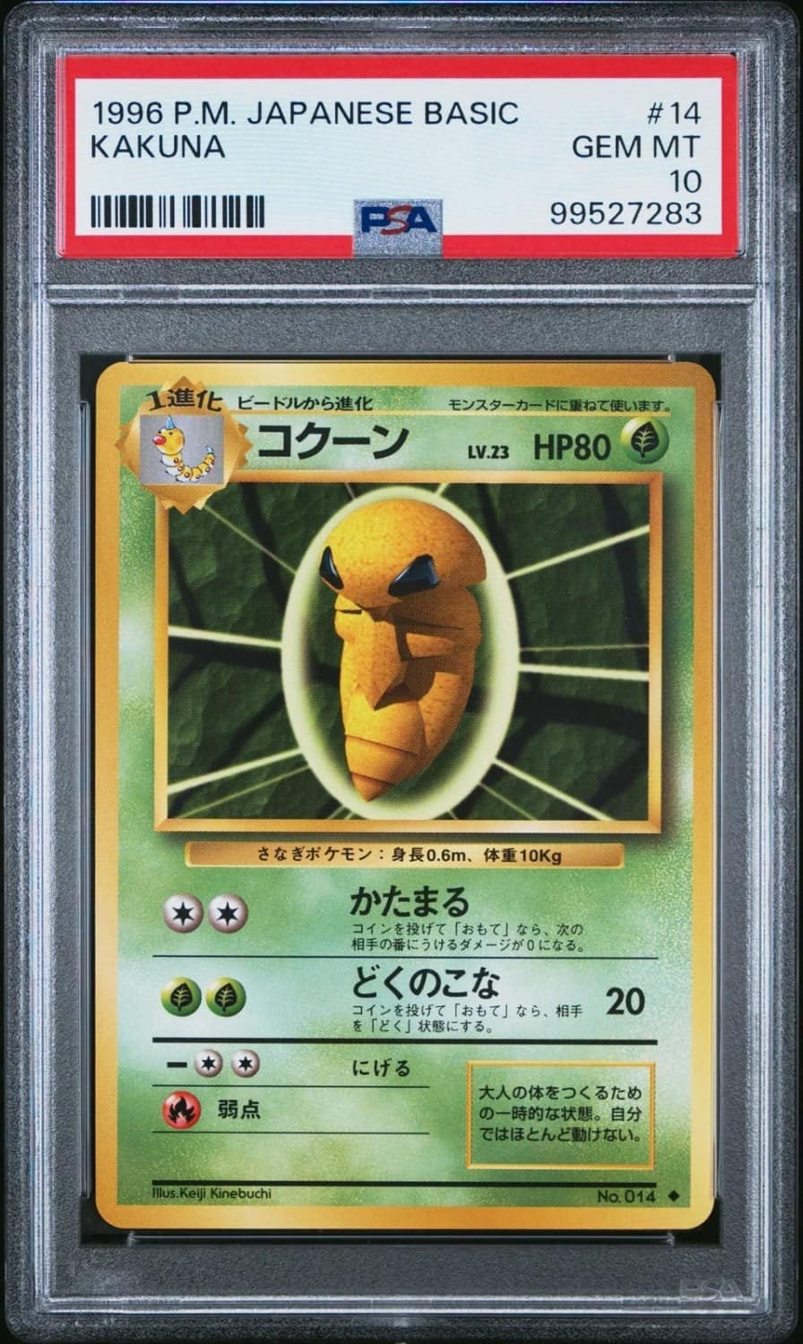 Kakuna