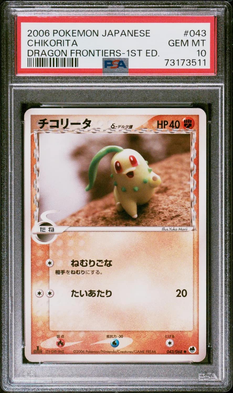 Chikorita