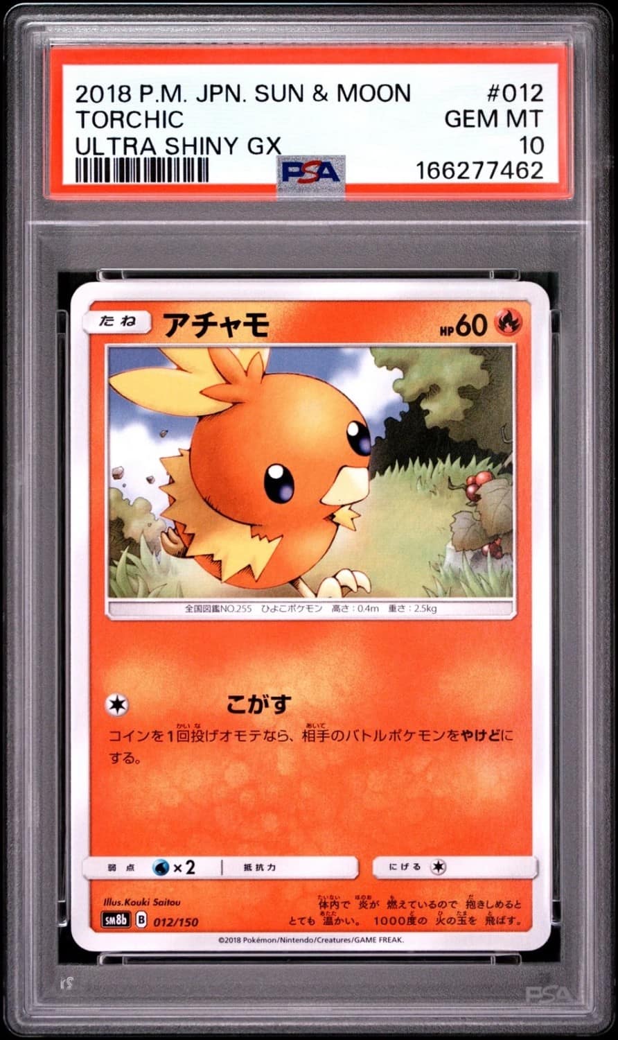 Torchic