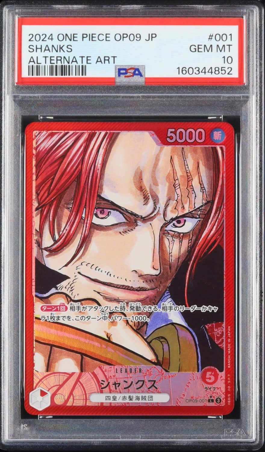Shanks