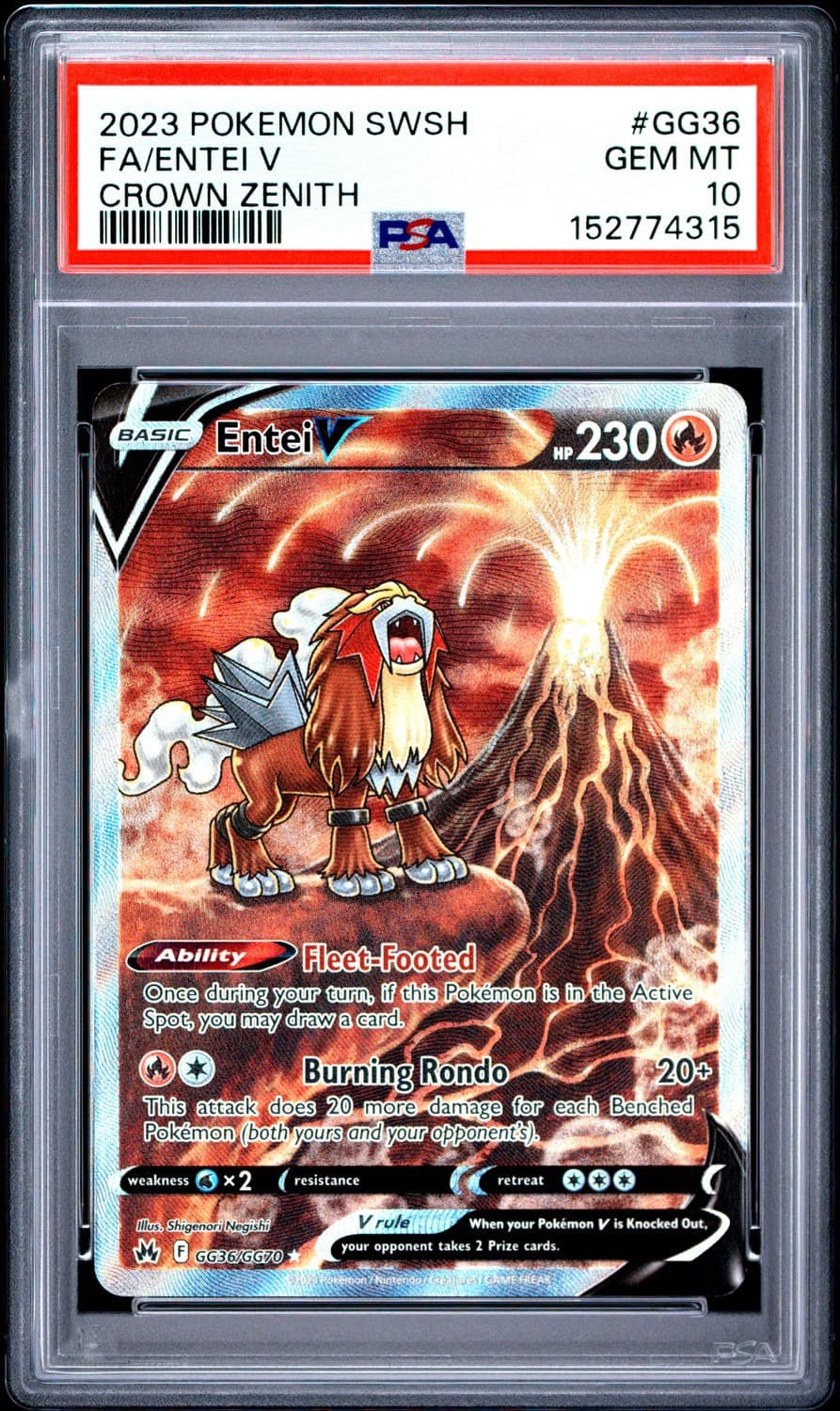 Entei V