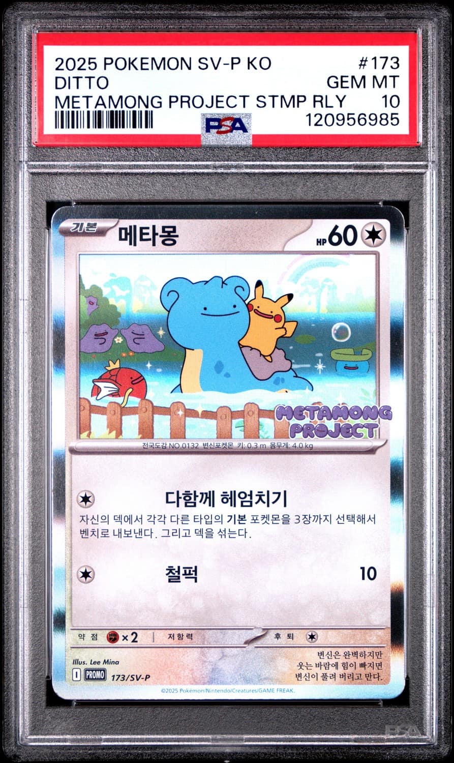 Ditto