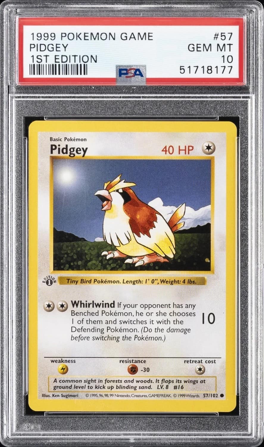 Pidgey