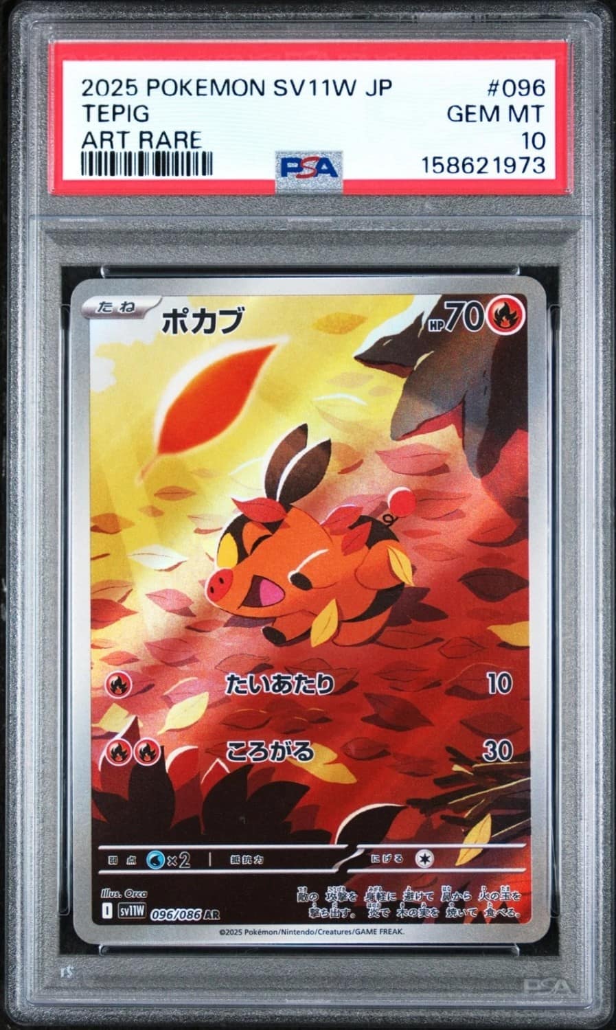 Tepig