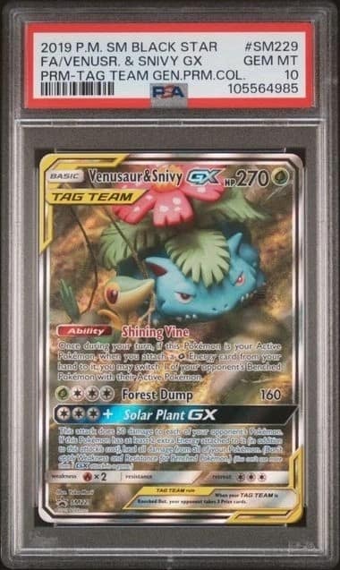 Venusaur & Snivy Gx