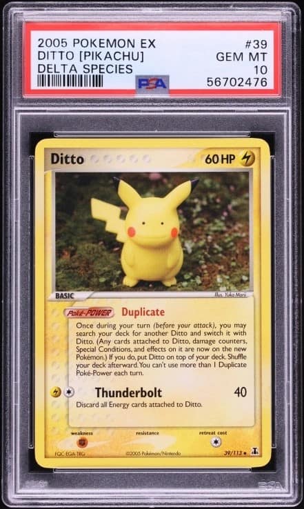 Ditto