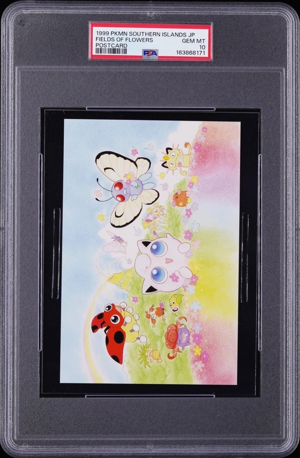 Fields Of Flowers
