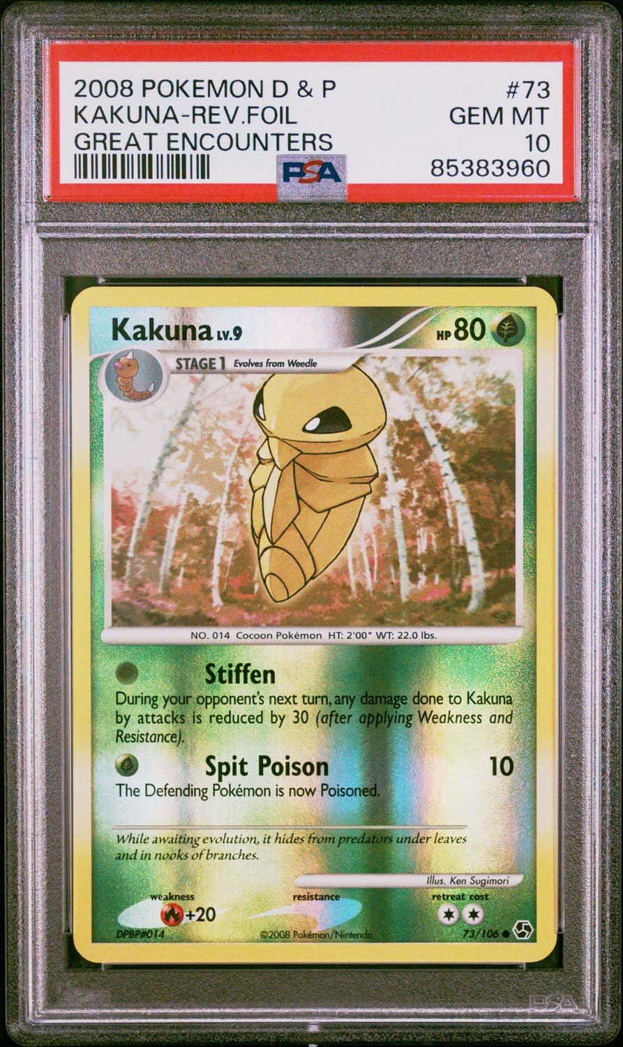 Kakuna