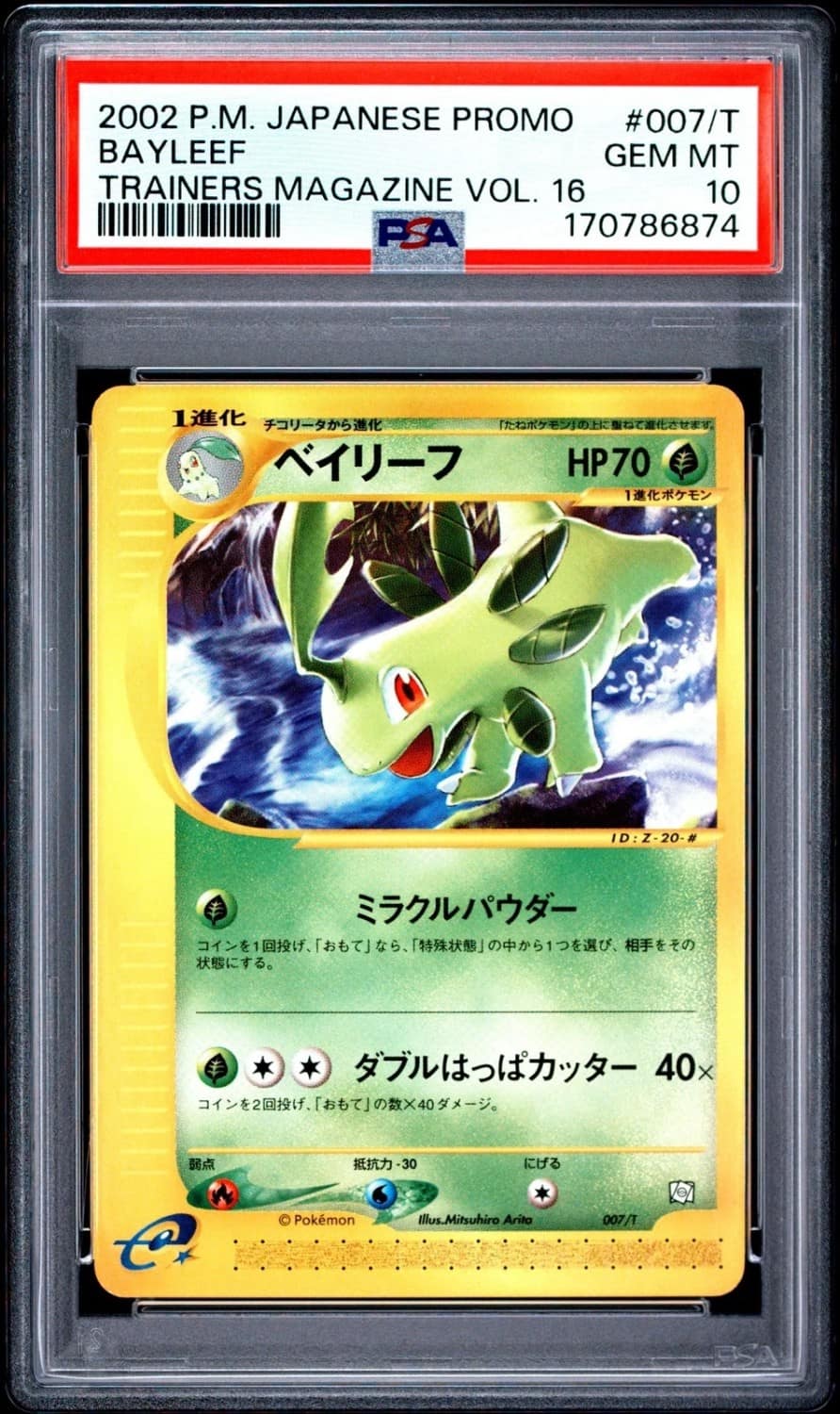 Bayleef