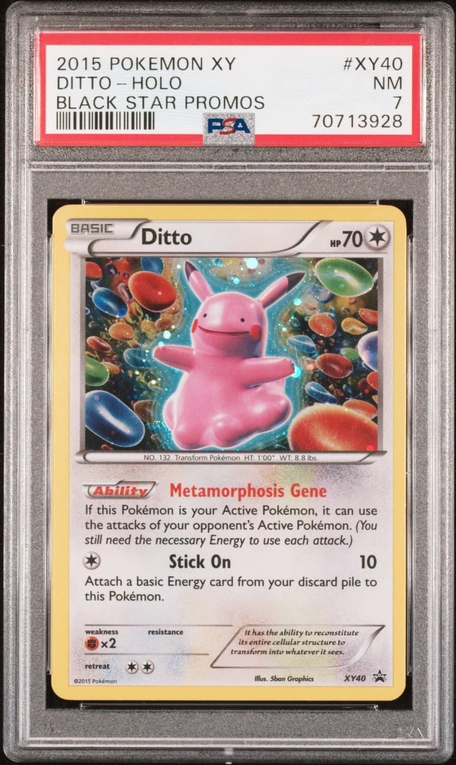 Ditto