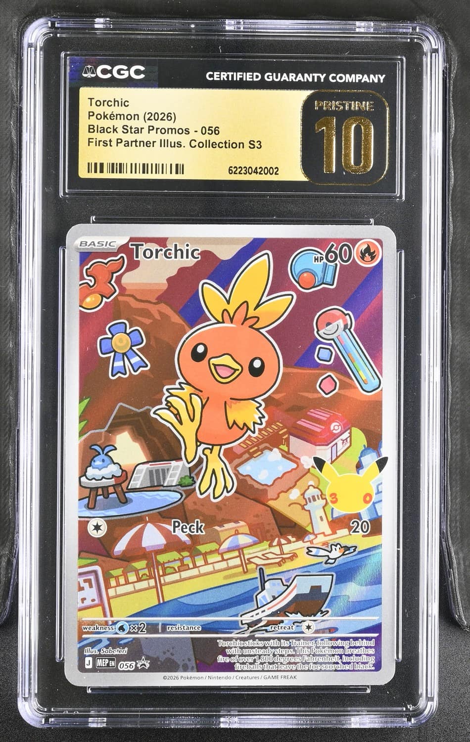 Torchic